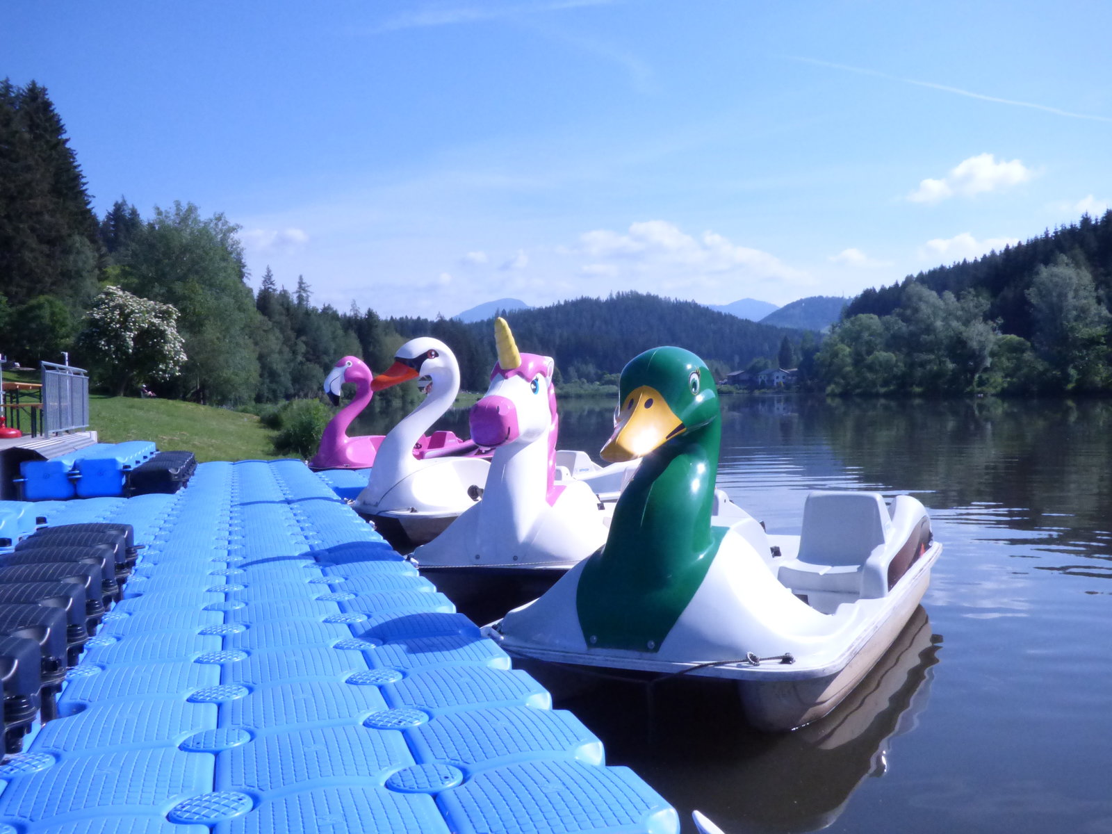 Tretbootverleih bei Michi's Seeschenke